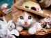 Kotě v košíku s kloboukem